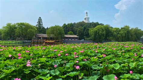 北京哪些好玩公園，公園是城市文化的縮影